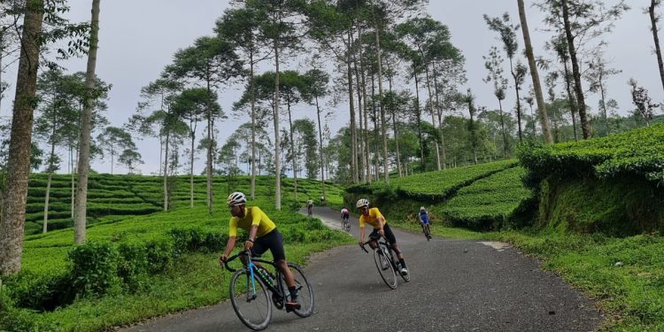 Tak Hanya Indah, Wonosobo Miliki Potensi Sport Tourism