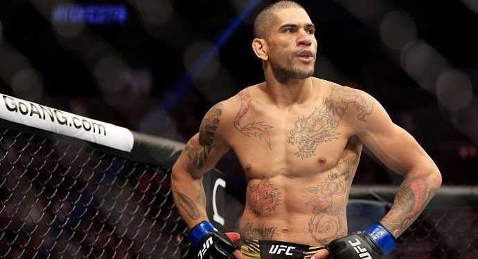 Alex Pereira Ingin Permalukan Israel Adesanya di Panggung UFC