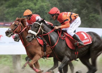 Sarga menggelar peluncuran kalender berkuda bersama PORDASI. Dok: Sarga