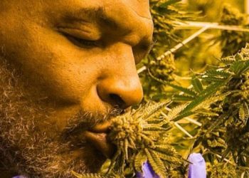 Sampat Jatuh Bangkrut, Berikut Kerajaan Bisnis Mike Tyson