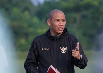 Pelatih Timnas Indonesia U-17, Nova Arianto