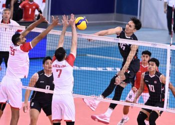 Tim voli putra Indonesia